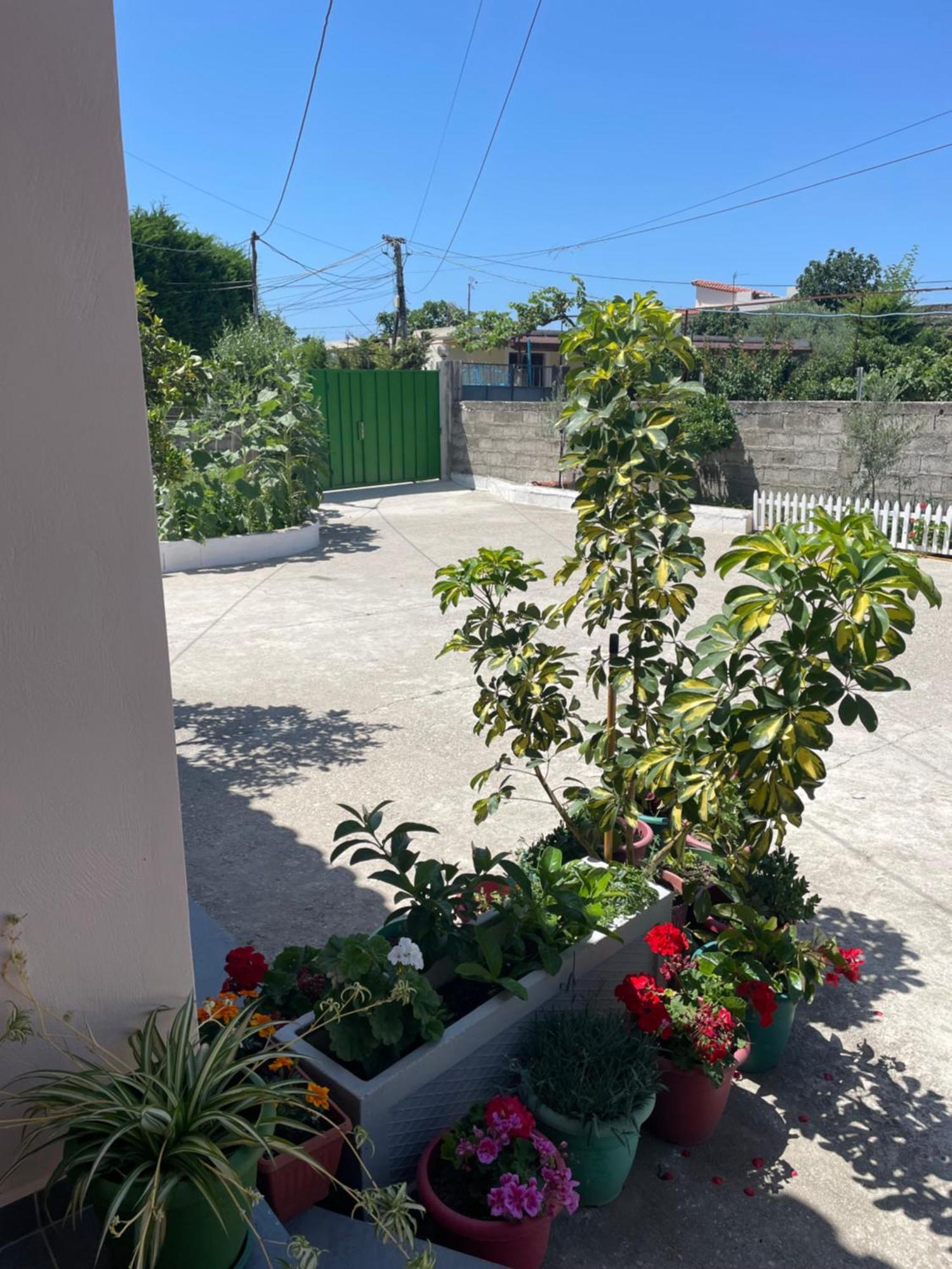 Rental Houses Dukaj Vlorë Exteriör bild